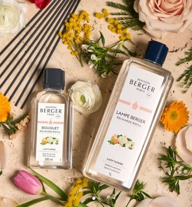 recarga lamparas cataliticas Maison Berger Castellon