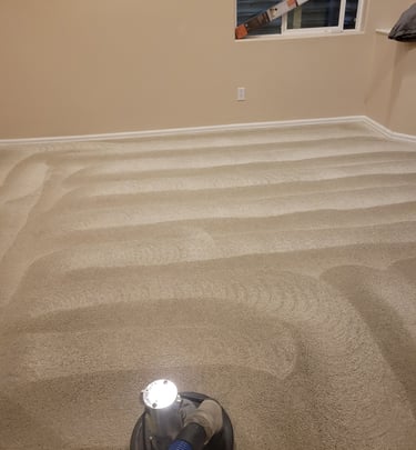 King Organic Clean carpet cleaning finished results 