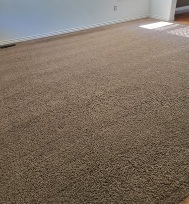 King Organic Clean, Beautiful Finished Results of Brown carpet 