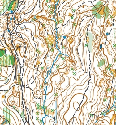 Primjer karte šumskog terena sa reljefnim detaljima