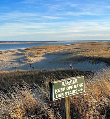 Cape Cod. Protecting the dunes