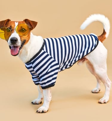 PERRITO CON SWETER DE RAYAS