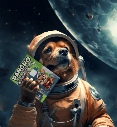 Pancho vs the flying fart can