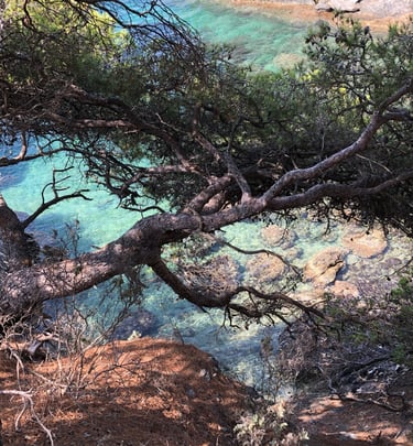 Les criques de la presqu’île de giens