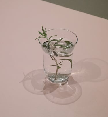 picture of rosmary tea