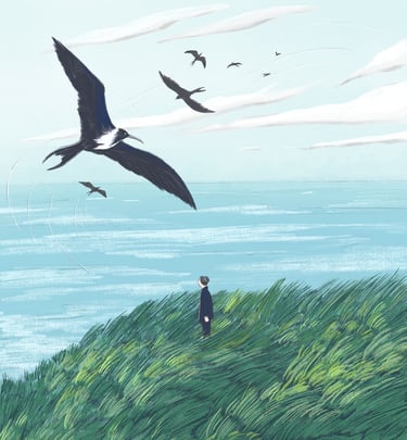 illustration of a person standing on a hill of tall grass near the sea with frigate birds flying