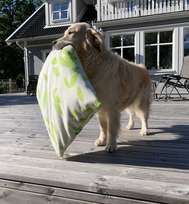 I am tired where can I sleep