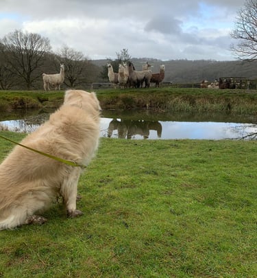 What!!!! What kind of animal is that!