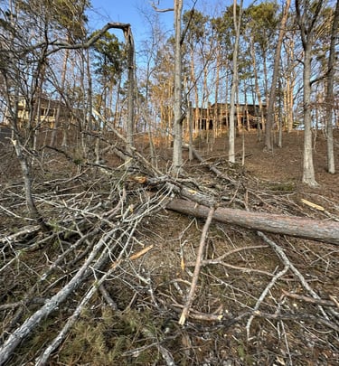 Storm damage in the Winn Springs Cv on Pickwick Lake