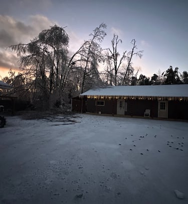 Ice-covered trees and a snow-covered property at sunrise after a winter storm