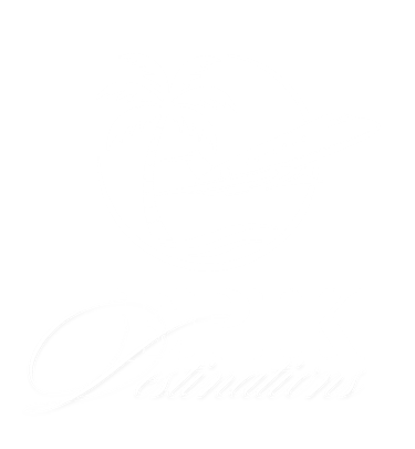 EPIK Destinations travel agency logo featuring a private jet and palm tree for luxury tropical vacations.