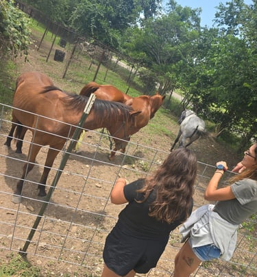 two females is standing in front of a fenced with horses