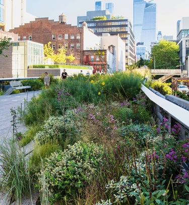 Dutch landscape designer Piet Oudolf known for naturalistic planting and modern garden design philos