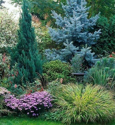 Naturalistic perennial garden inspired by Piet Oudolf with seasonal textures, grasses and flowing planting design.