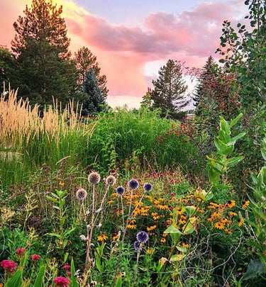 Dutch landscape designer Piet Oudolf known for naturalistic planting and modern garden design philos