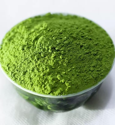 Xinyang Maojian green tea leaves