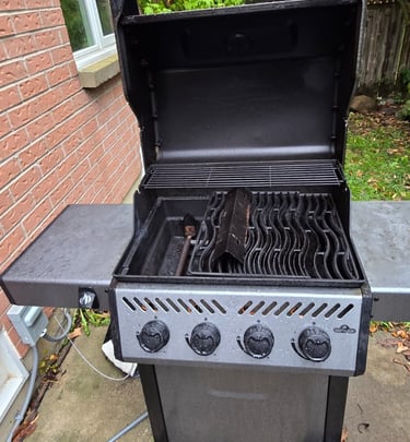 Greasy Napoleon BBQ Before Cleaning