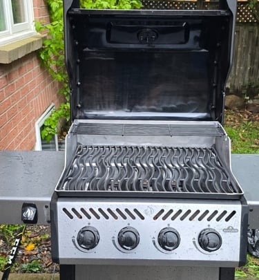 Napoleon BBQ After Cleaning