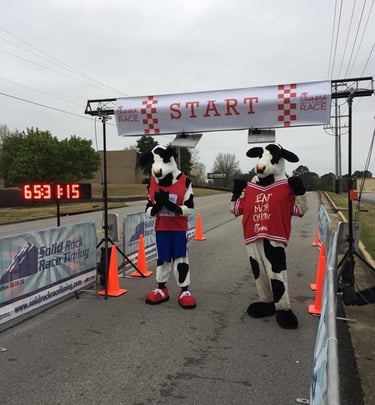Chick Fil A cows Standing at the START line of the North Alabama Chick Fil A Race Series
