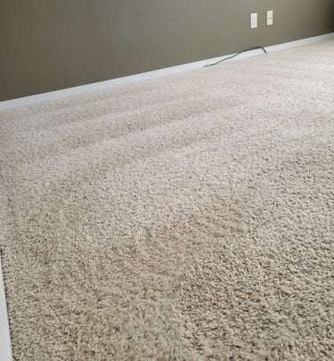 Beautiful White Carpet, Finished Results, King Organic Clean