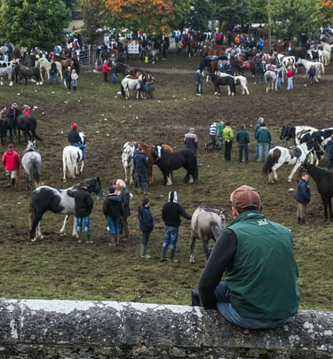 A crowded traditional horse fair in a muddy field with people trading various horse breeds.
