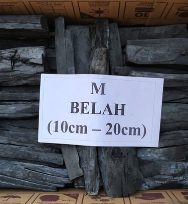 binchotan | white charcoal