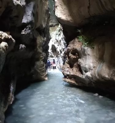 Guchhupani