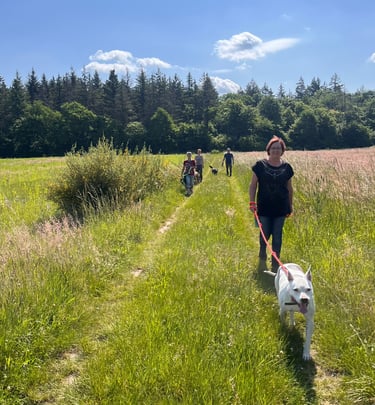 Fotot vom Social walk mit Marissa Füger von RIKA Hundeschule bei Wiesental