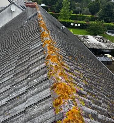 Toit avec pignon envahi par une forte prolifération de mousse, lichens et algues. Importance d’un dé