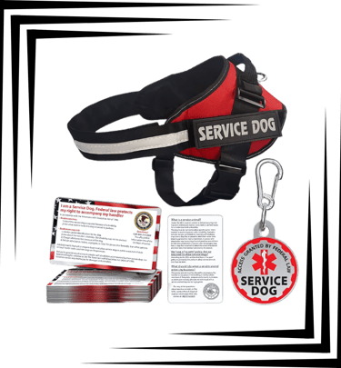 service dog vest