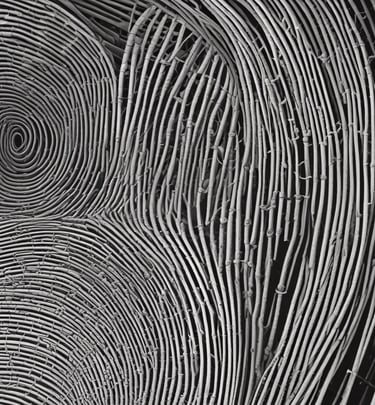 Bright living room with modern inventory