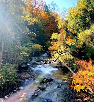 Upstate NY in the fall, gorge, colorful leaves