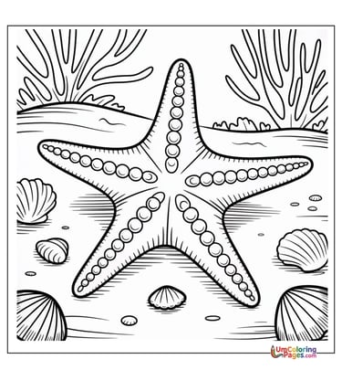 easy starfish coloring page for children