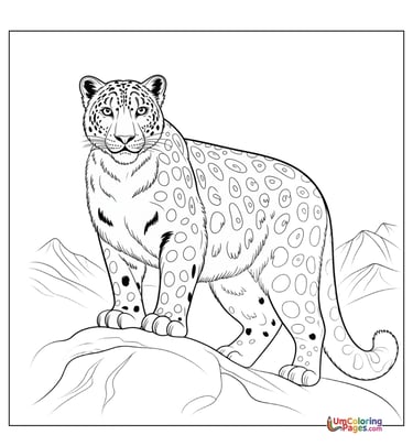 Snow leopard coloring template mountain animal for children