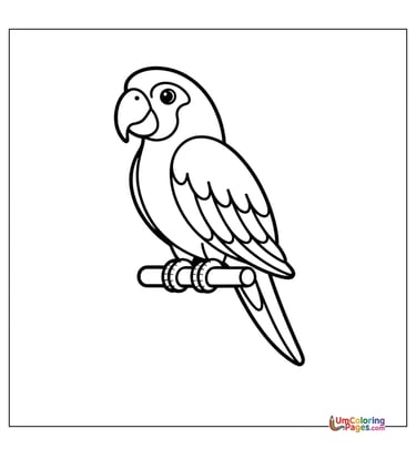 Parrot on perch outline drawing kids coloring worksheet