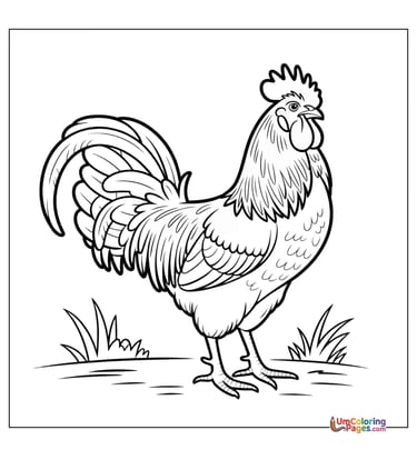 easy rooster coloring page for children