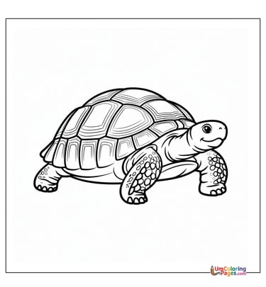 Baby tortoise outline drawing kids coloring worksheet