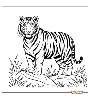 Tiger cub coloring page baby wild cat printable