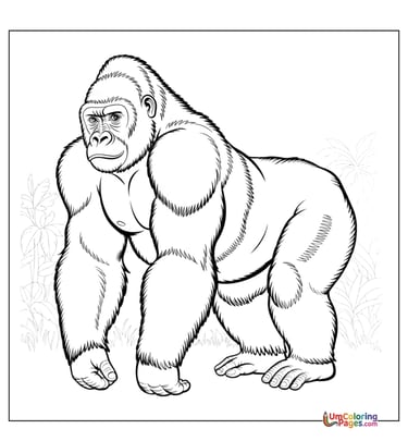 Baby gorilla coloring page cute ape printable