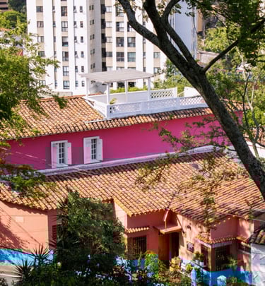 Colores del barrio/ barrio san Antonio Cali