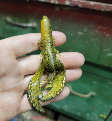 Custom 4" crawdad