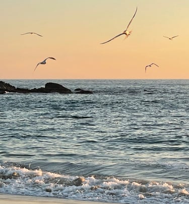 Seagulls flying over ocean waves at sunset on a sandy beach coastline.