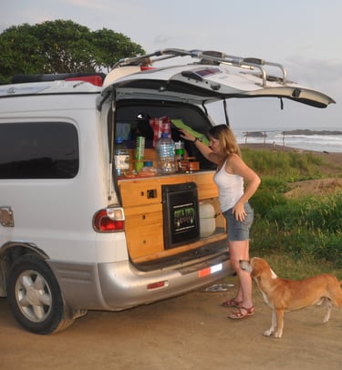 Stray dogs on Ostinal Beach, Guancastle, Costa Rica
