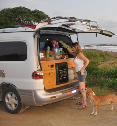 Stray dogs on Ostinal Beach, Guancastle, Costa Rica