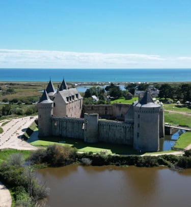 Domaine de Suscinio (56)