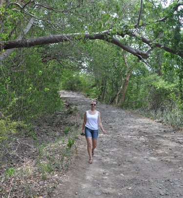 Santa Rosa National Park, Guanacastle, Costa Rica