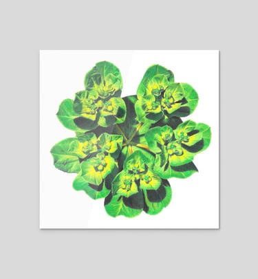 Green flower sticker