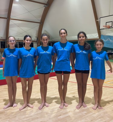 Artistica Jesolo Agonismo Allieve 2