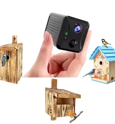 Fits most bird nests