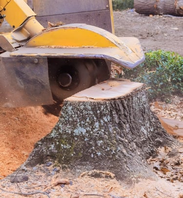 stump removal and site clearing services Louisiana and Mississippi construction prep